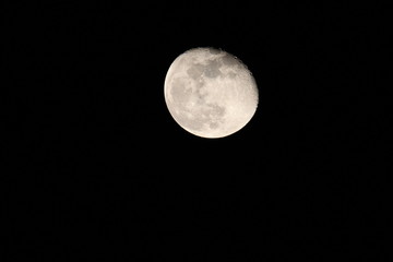 Obraz premium Moon after the Super Blue Blood Moon