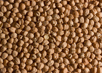 Garbanzos
