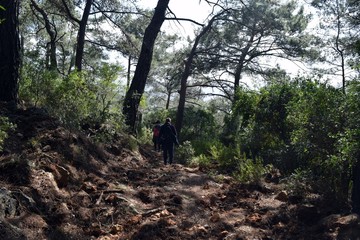 Campaign.Backpack tourism in the spring pine forest.Akyaka.Turkey