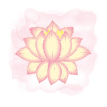 vector blossoming Lotus flower on a pink background watercolor stains
