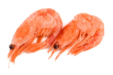Red cooked prawn or shrimp isolated on white background