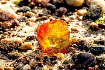 Amber on a beach of the Baltic Sea