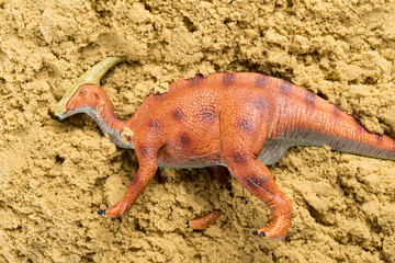 Parasaurolophus on sand concept of historical animal excavating