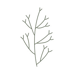 Vector flat abstract dry branch plant. Wild meadow field grass garden spring easter, women day romantic holiday, wedding invitation card decoration element summer floral Illustration white background