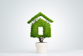 Concept of ecology recycling and eco construction with plant in pot
