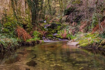 Mirror water in Muiños do Tripes, Tui