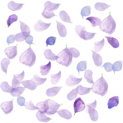 Spring  flowers watercolor illustration