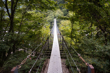 畑薙大吊橋
