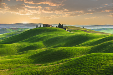 Spring in the fields of Tuscany in the sunset - obrazy, fototapety, plakaty