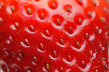 Strawberry Texture, Closeup Strawberry