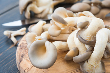 Fresh oyster mushrooms on wooden cutting board