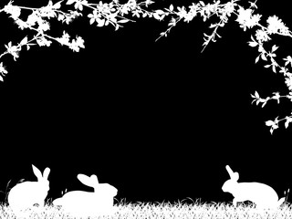 rabbit three white silhouettes in grass under spring blossoming branches