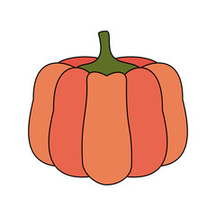 Pumpkin vegetable isolated icon vector illustration graphic design