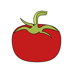 Tomato vegetable isolated icon vector illustration graphic design