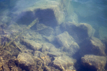 Cultivated cube rock under water
