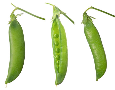 set of three pea pods isolated on white