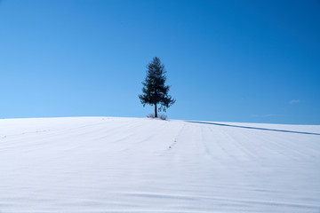hokkaido Japan