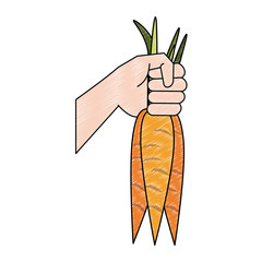 Hand with carrots icon vector illustration graphic design