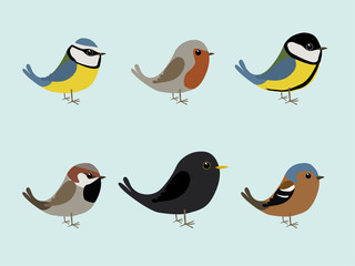 Cute songbirds