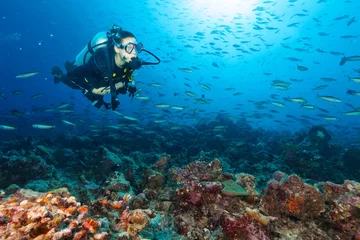 Poster Young woman scuba diver exploring coral reef © Jag_cz