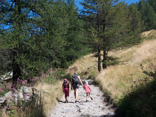 Familie wandert auf Weg im Sommer, Alpen, Frankreich