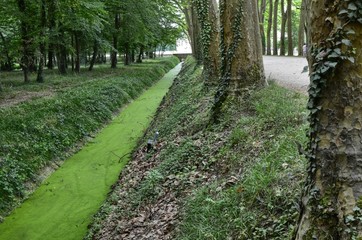 Castle of Chenonceau, Loire region, France. Snap of June 27, 2017. The water channels that surround the castle estate.