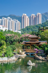 Naklejka premium Absolute perfection in Nan Lian Garden, Chi Lin Nunnery, Hong Kong