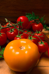 fresh red and yellow tomatoes