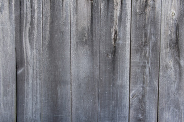 Naklejka premium Grey wood rough texture, wall