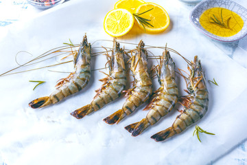 Frische Tiger Garnele