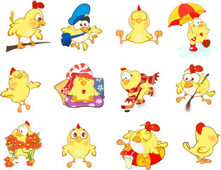 Set of Cute Chickens in Different Poses for you Design. Cartoon Character