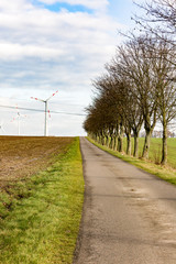 Autumn landscape with tree avenue