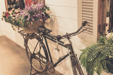 Fototapeta na wymiar vintage bicycle decorative