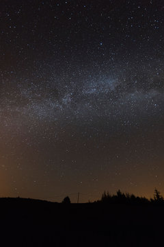 breathtaking night sky landscape with milky way popping out brightly on the trees silhouette, Provence, south France