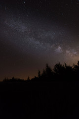 breathtaking night sky landscape with milky way popping out brightly on the trees silhouette, Provence, south France
