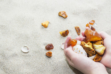 pieces of amber and seashells in female hands on a background of sand.