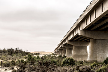 Fototapeta na wymiar Desert Bridges