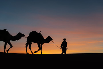 Silhouette of caravan in desert Sahara, Morocco with beautiful and colorful sunset in background