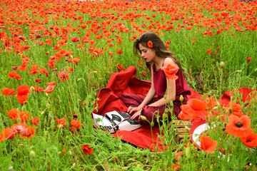 Opium poppy, agile business, ecology.