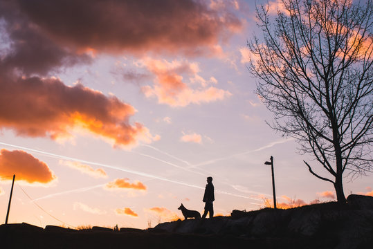 Man and dog looking to somewhere, silhouette photo, friendship, love