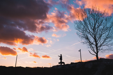Silhouette of young man with his dog at dawn with tree and sky on background.