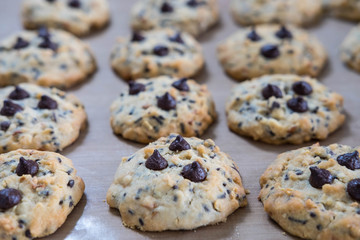 Chocolate chip cookies on tray after take off oven when finished baked