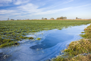 Frozen puddle on the field