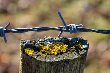 Barbed wire fence