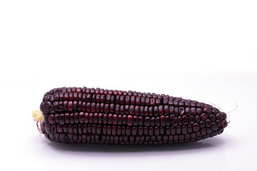 black corn seed on white background