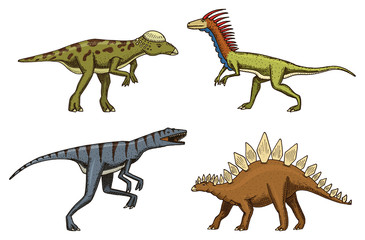 small dinosaurs, deinonychus, stegosaurus, velociraptor, pachycephalosaurus, skeletons, fossils. Prehistoric reptiles, Animal Hand drawn vector.