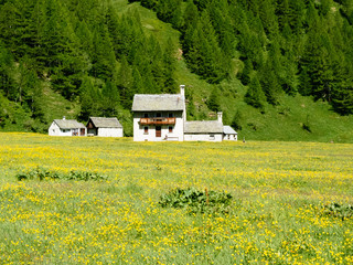 Fototapeta premium Small mountain village of Alpe devero, Lepontine Alps, summer mountain landscape