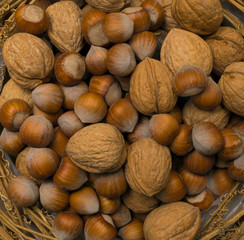 hazelnuts and walnuts background
