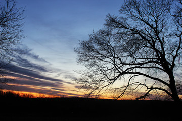 Sunset overlooking vineyard 