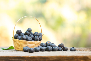 Blueberries in the basket